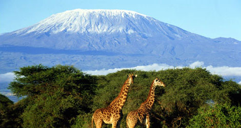 Small World Big Picture